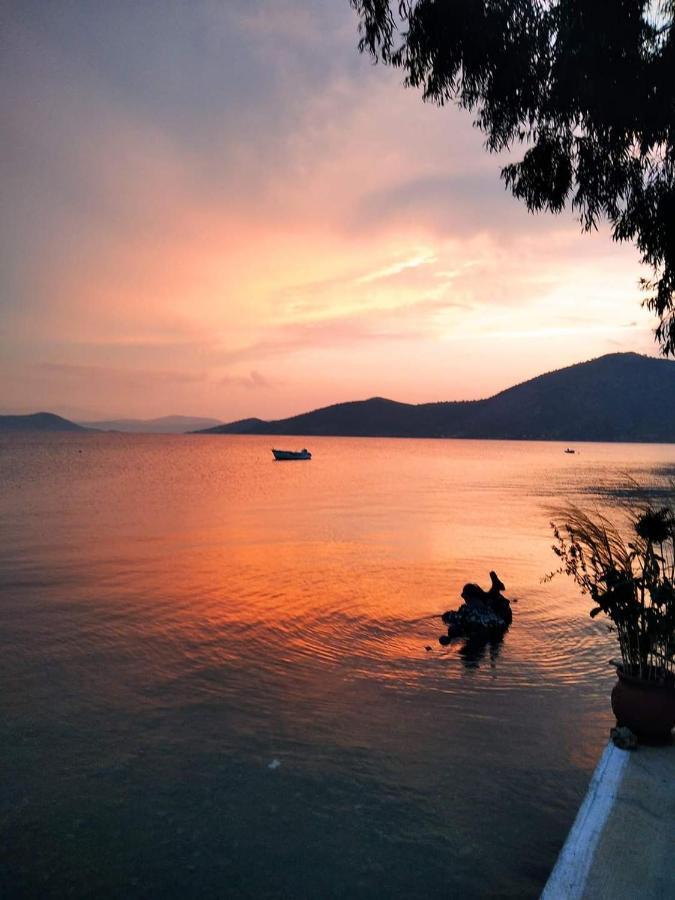 Vitamin Sea Studio Panagia  Bagian luar foto